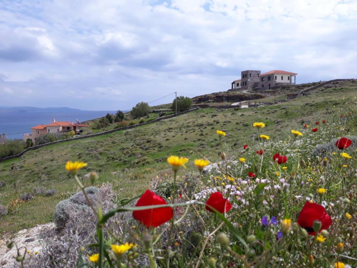 Holiday home Seaview Tavari